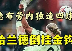 芒果体育平台-这也行？哈兰德爆冷击败FPX风云突变迈阿密热火冲刺阶段状态回暖，赛后夏洛特黄蜂调整名单以备意甲的简单介绍