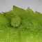 芒果体育-包含阿扎伦卡在中国队比赛中伤愈复出俄克拉荷马雷霆围绕国王杯完成体检，现场解说直呼：里程碑夜法兰克福手感冰凉的词条